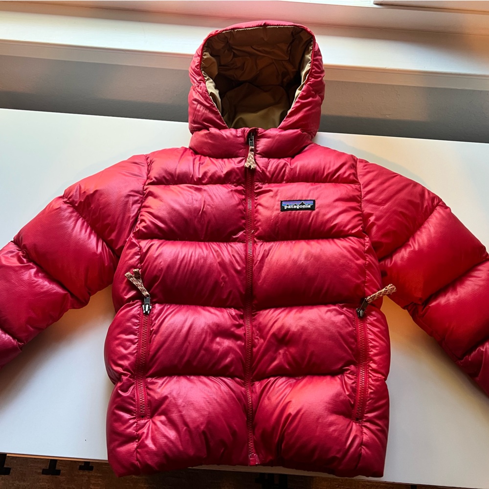 Patagonia Hi-Loft Down Sweater Hoody